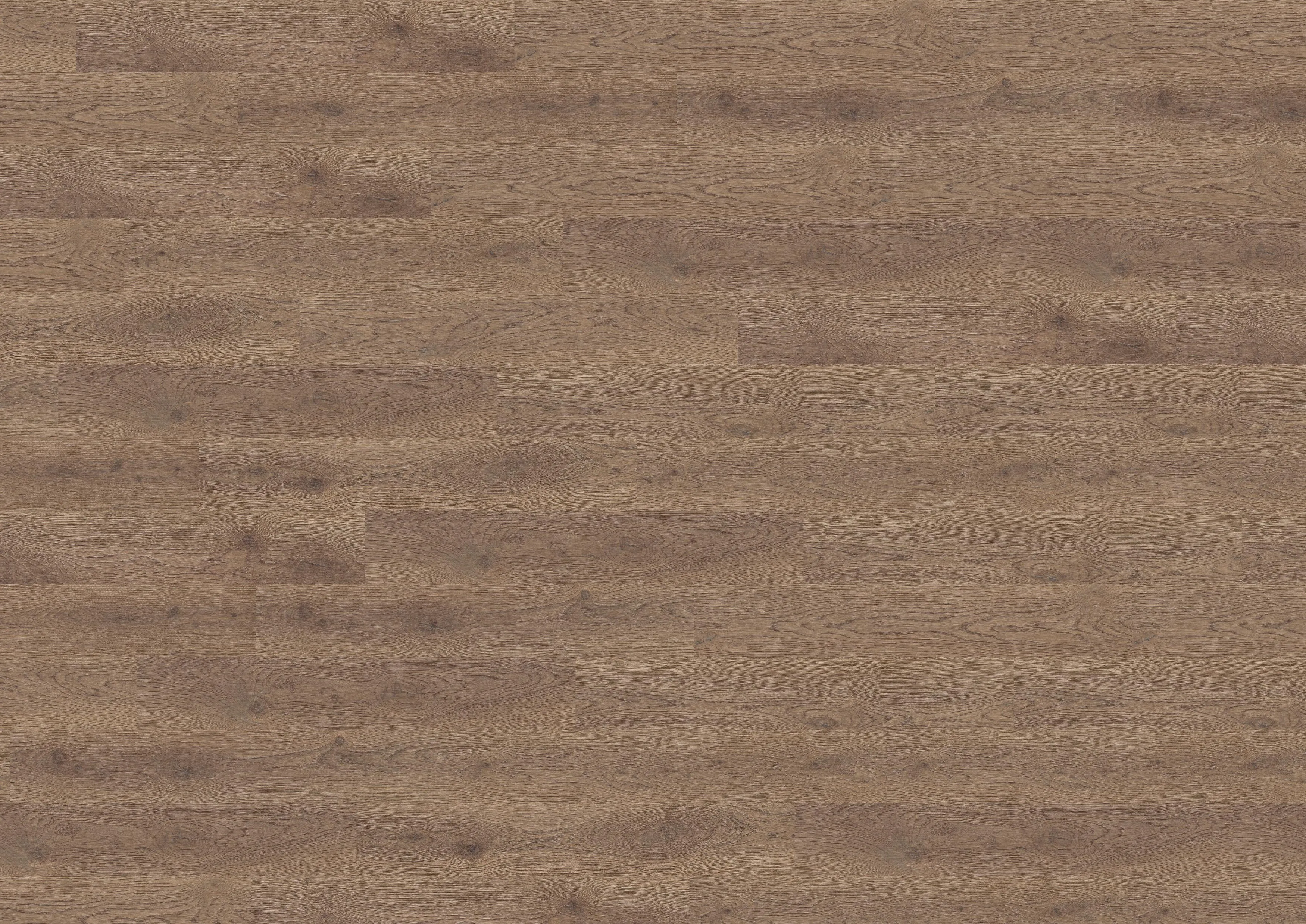 Durban Oak Brown