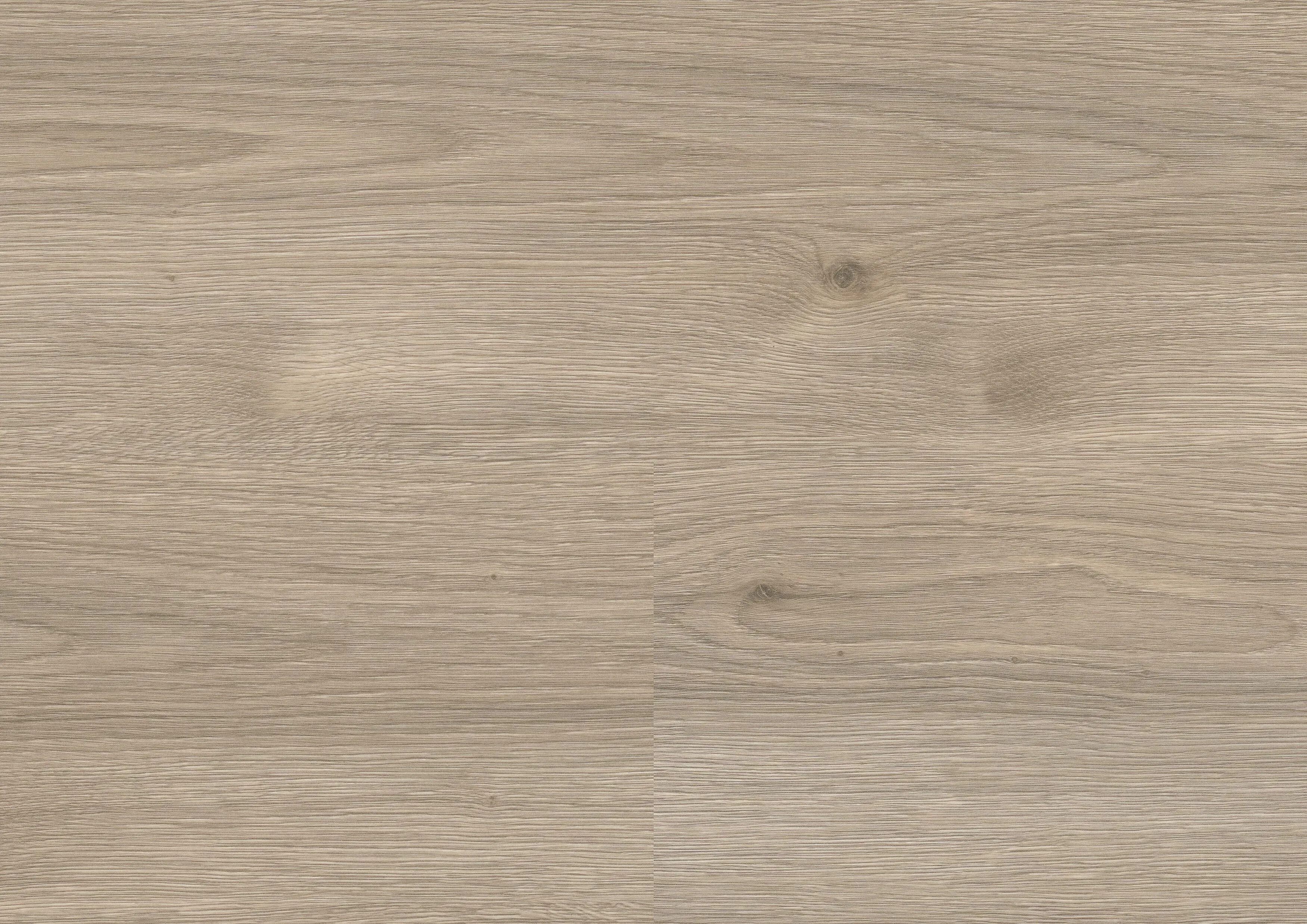 Ravenna Oak Beige | PL wineo 1500 wood L (25)