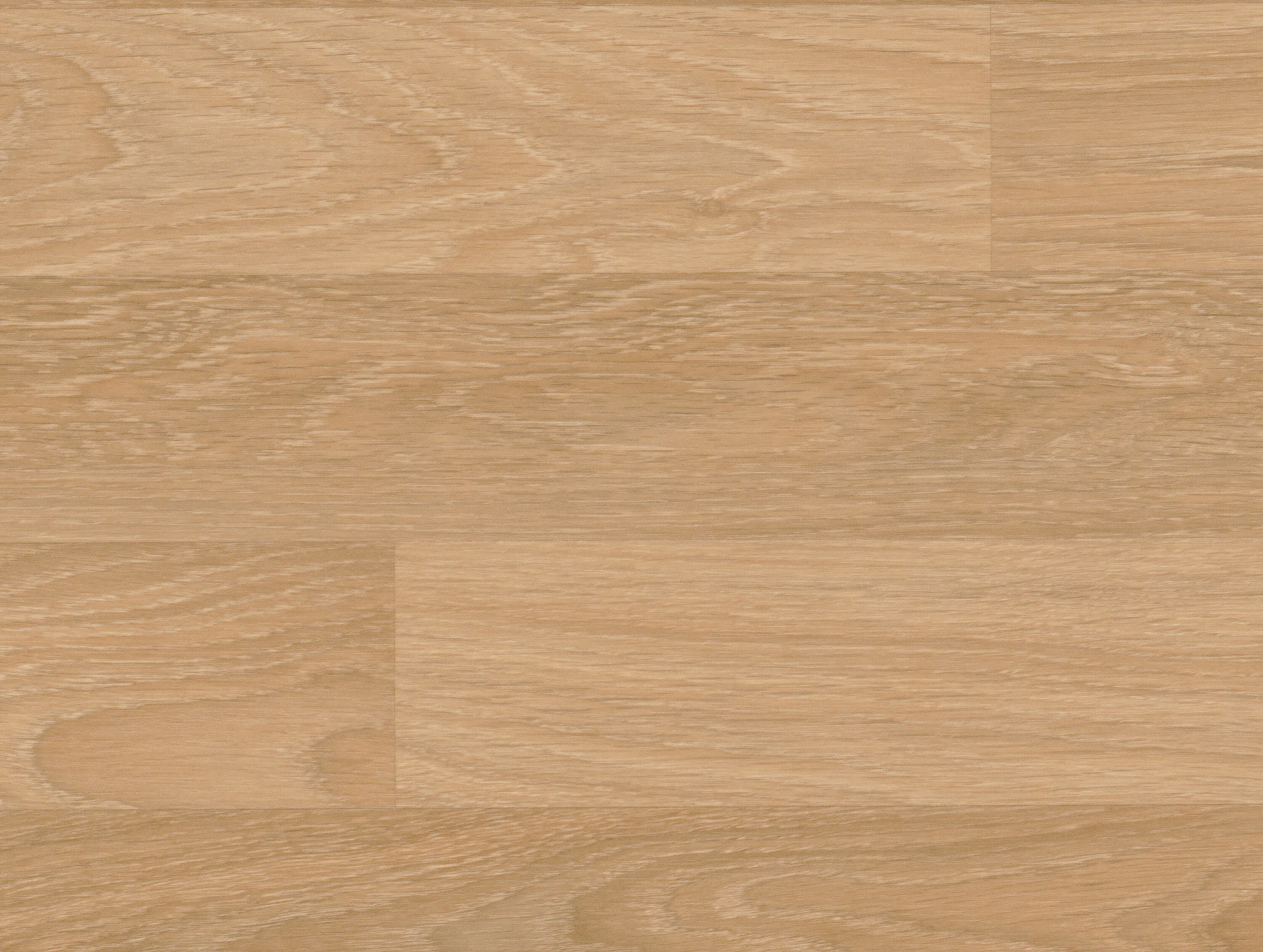 Halifax Oak Natural | wineo 1500 wood