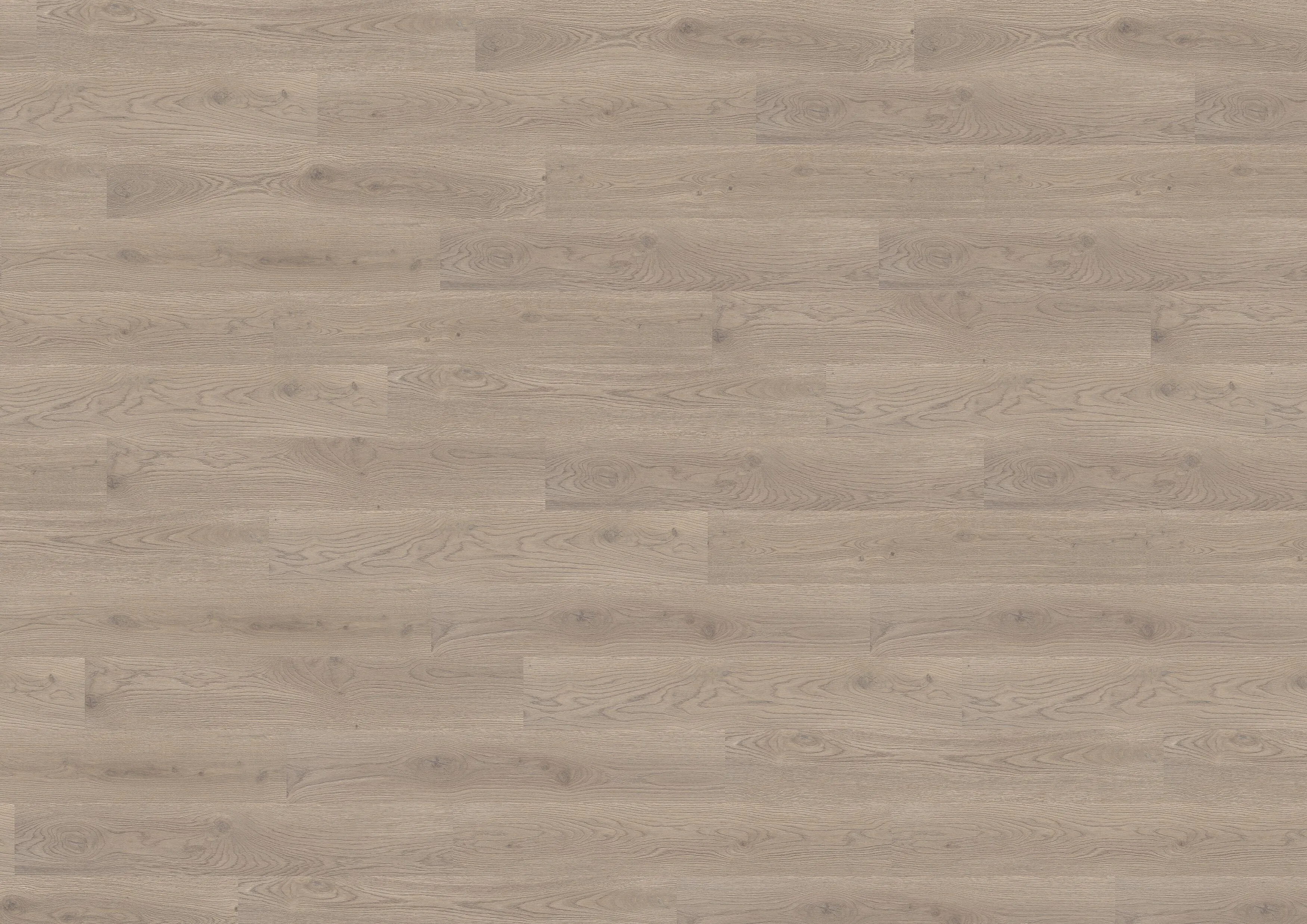 Durban Oak Taupe