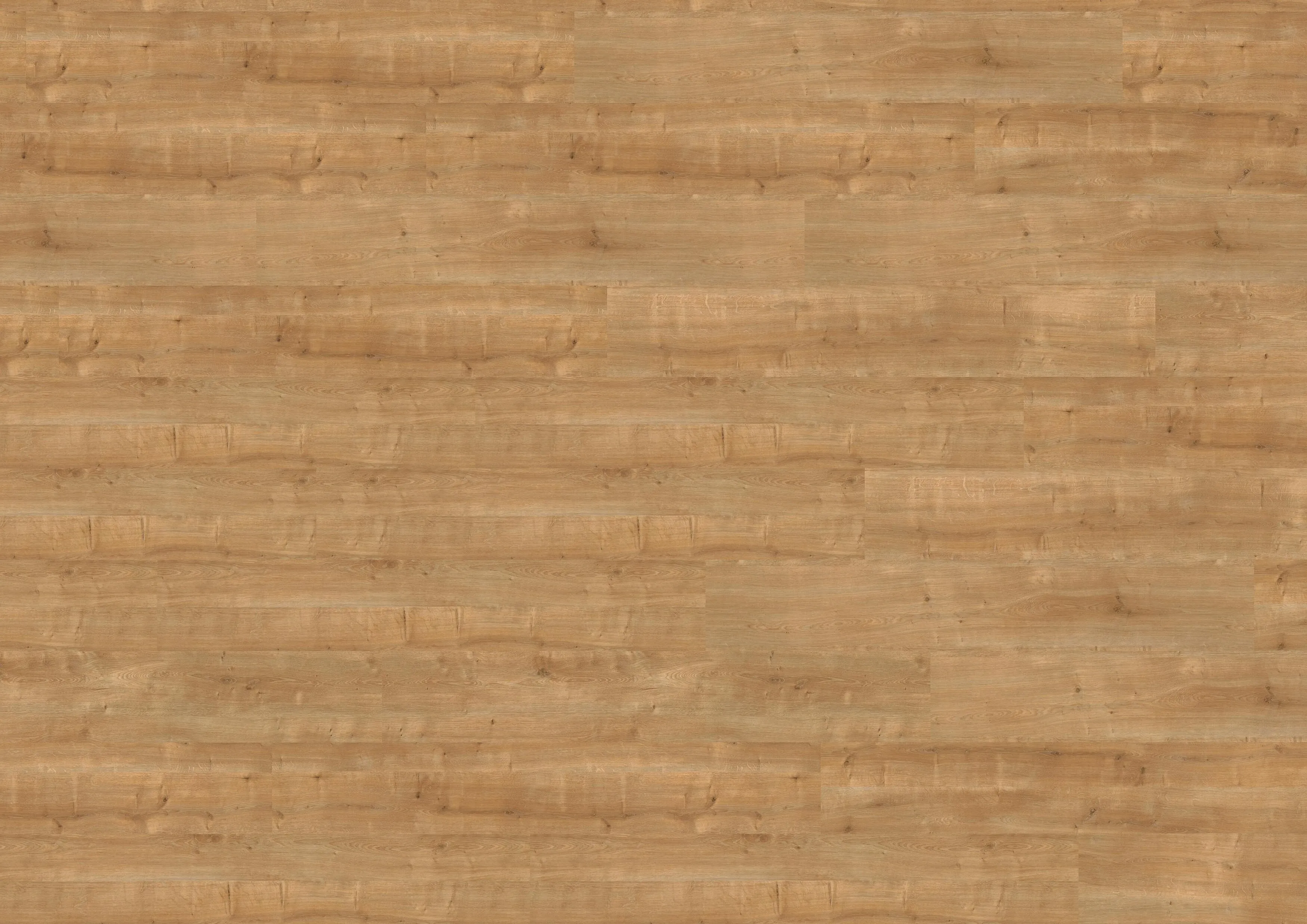 Canyon Oak Honey