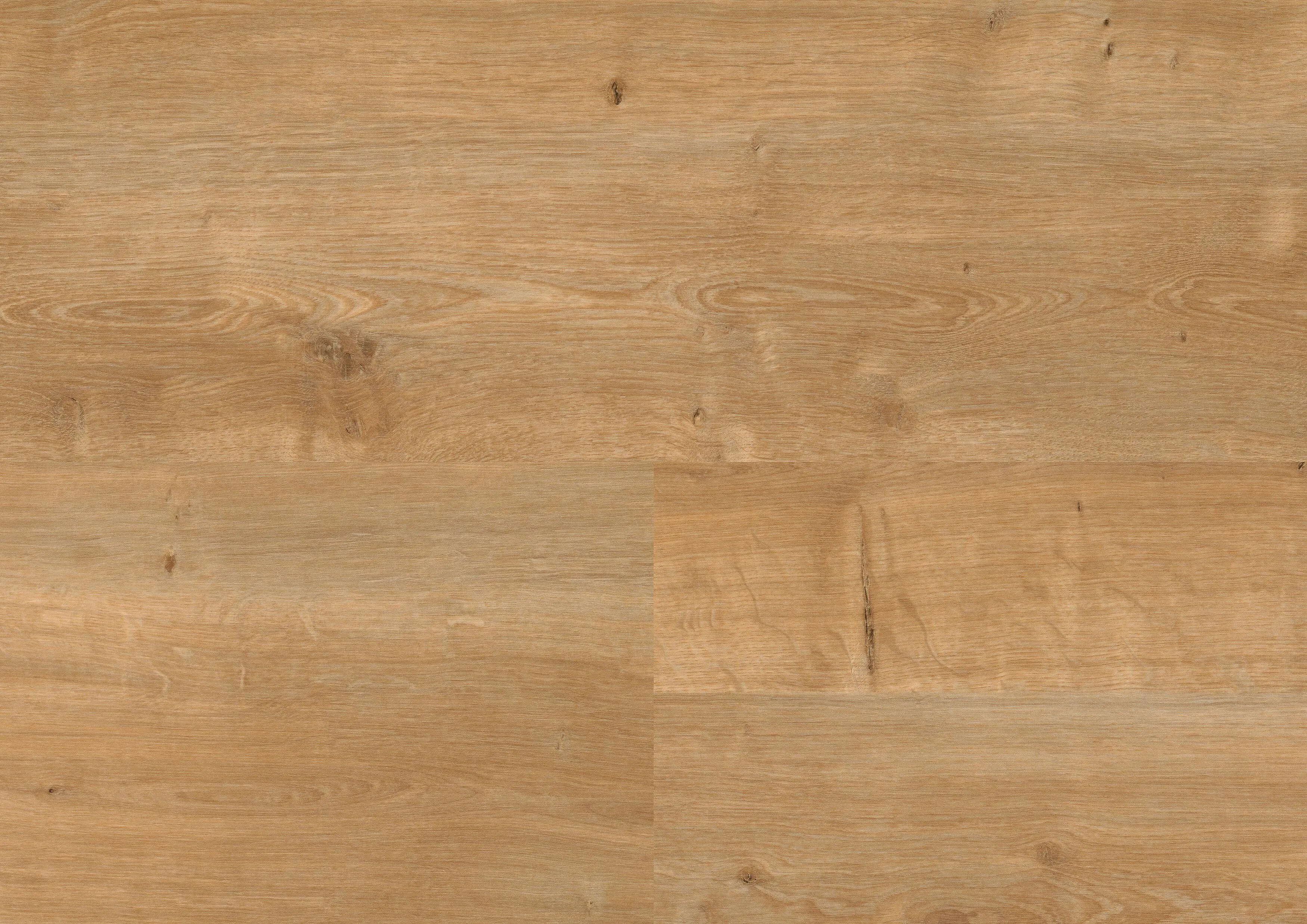 Canyon Oak Honey | PL wineo 1500 wood L