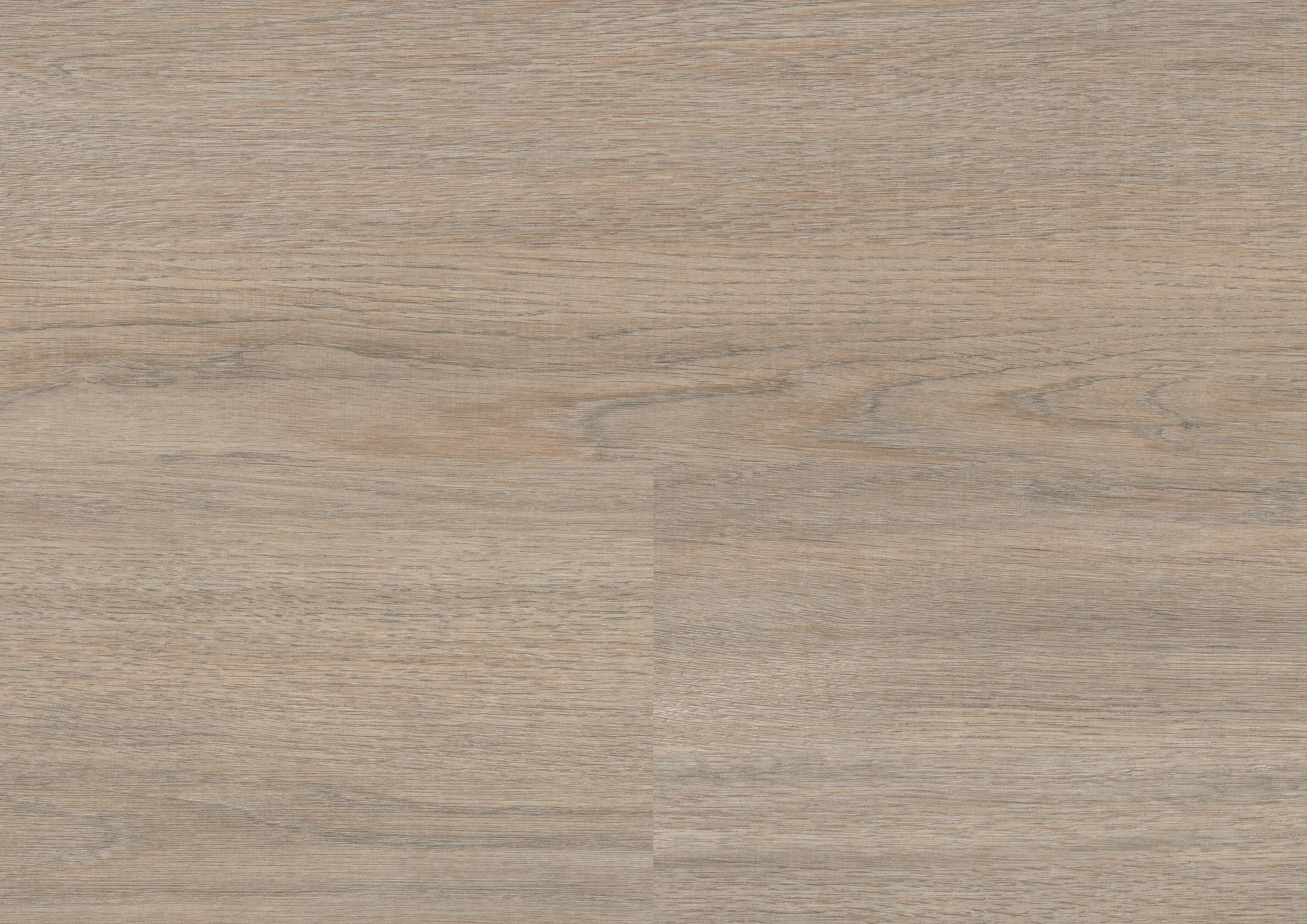 Mayfield Oak Taupe | PL wineo 1500 wood XL (25)