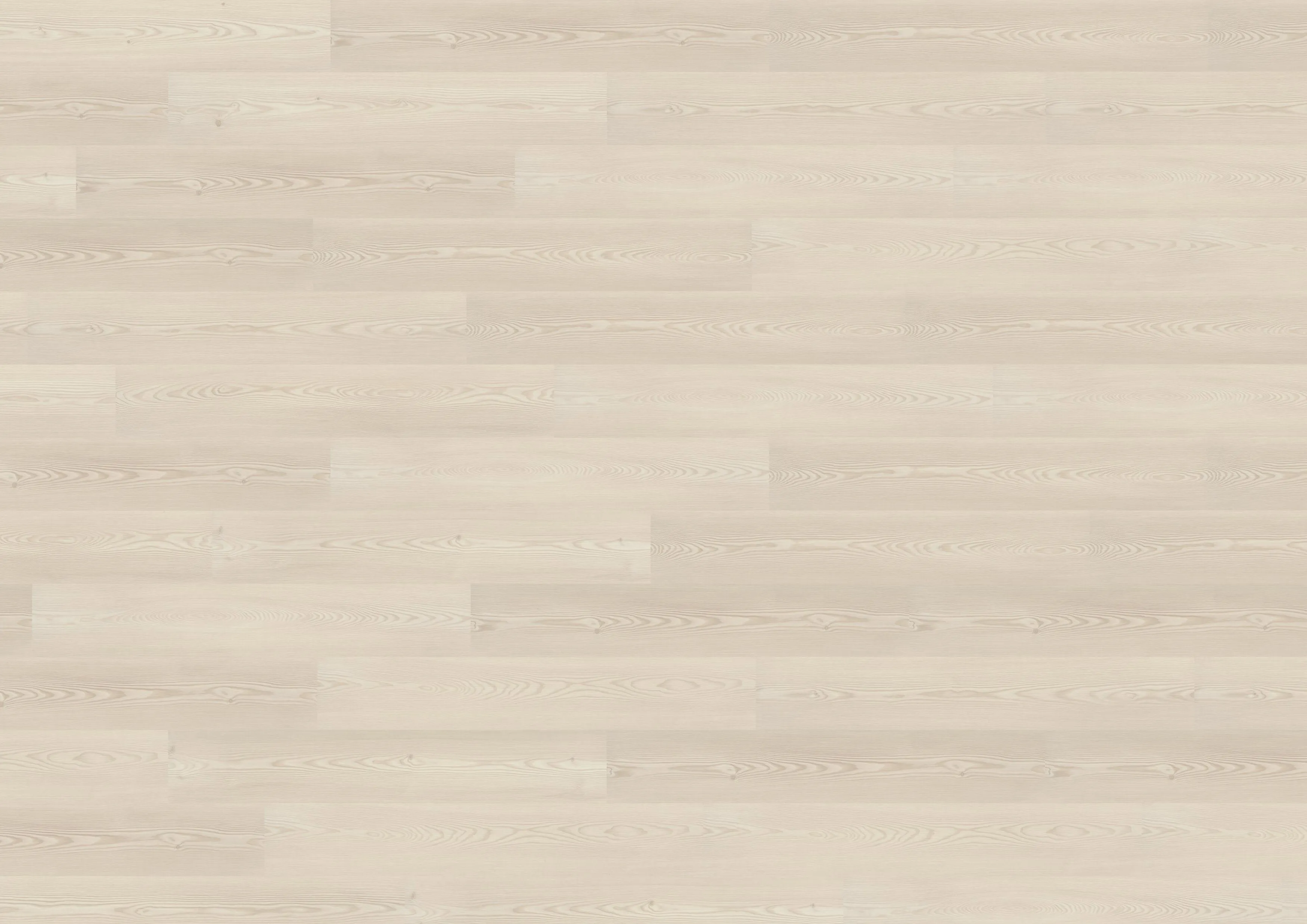 Iceland Pine Light