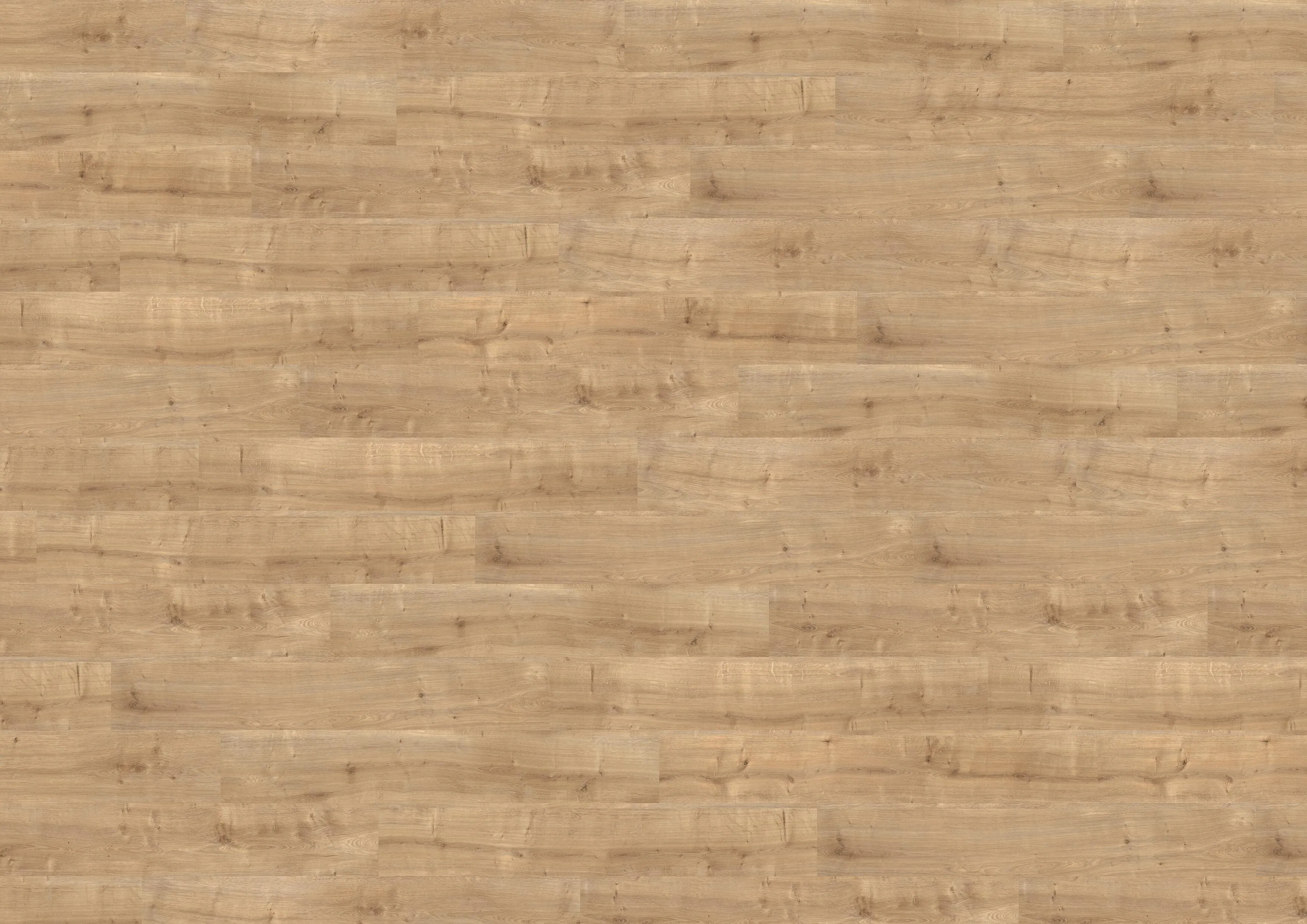 Canyon Oak Sand